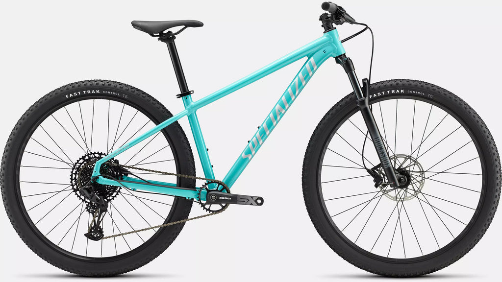 Rockhopper expert 29 online specialized